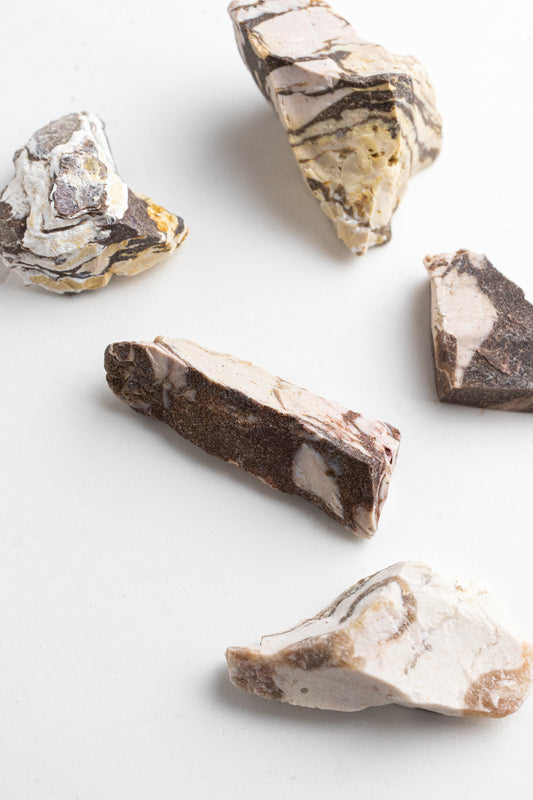 Zebra Jasper - Stemcell Science Shop