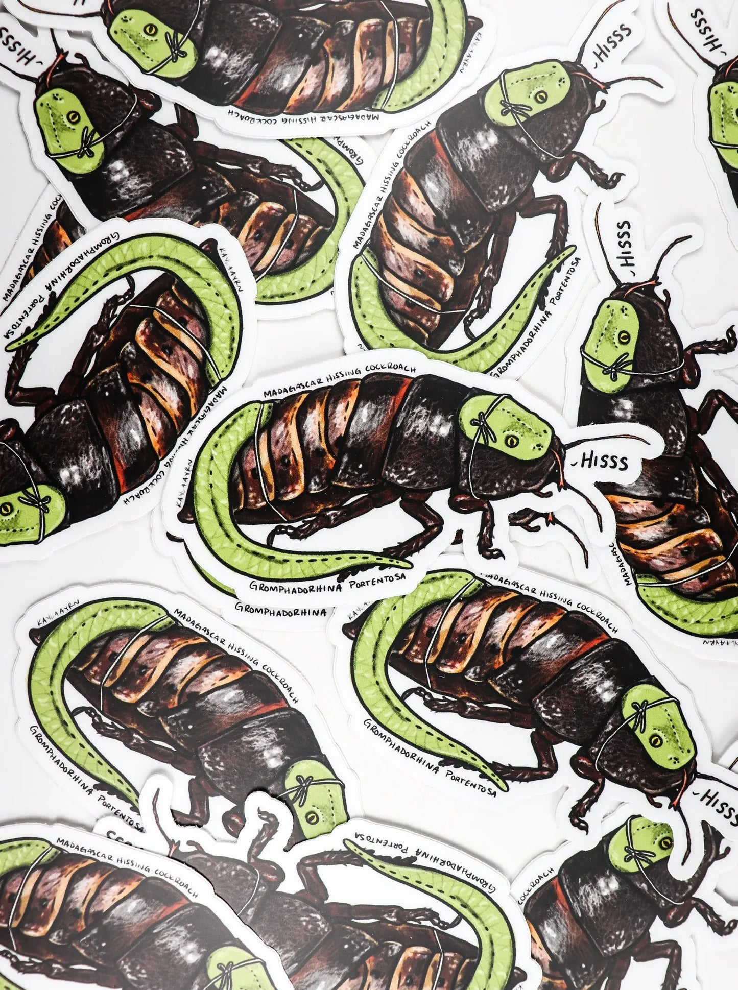 Madagascar Hissing Cockroach Sticker - Stemcell Science Shop