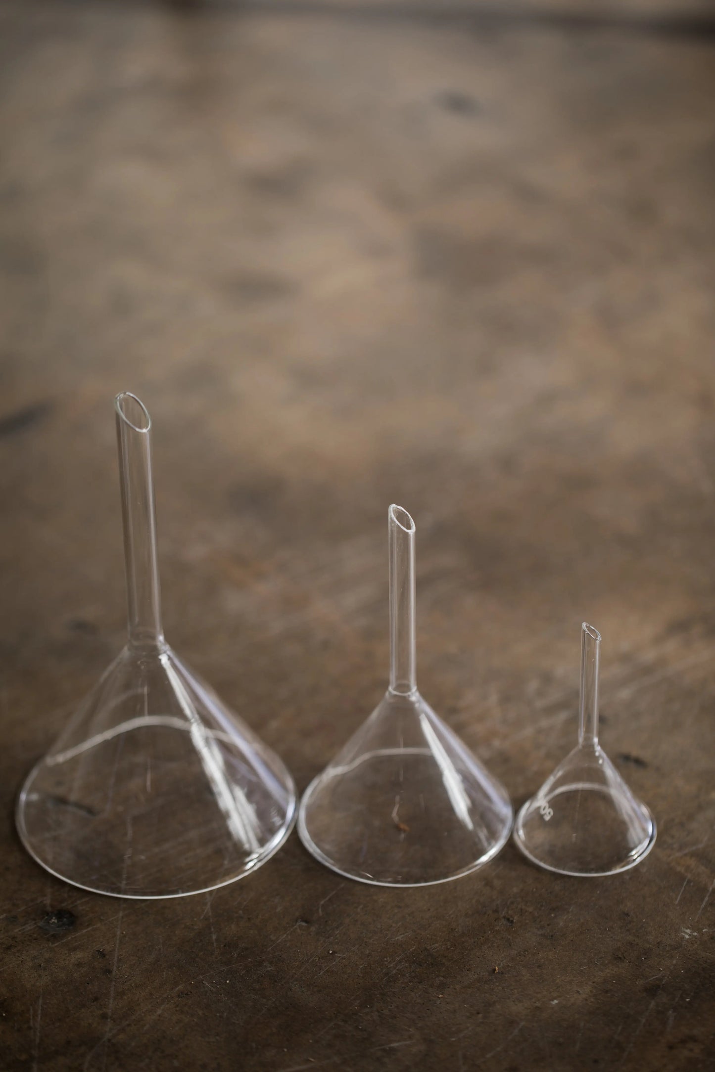 Glass Funnel - THE STEMCELL SCIENCE SHOP