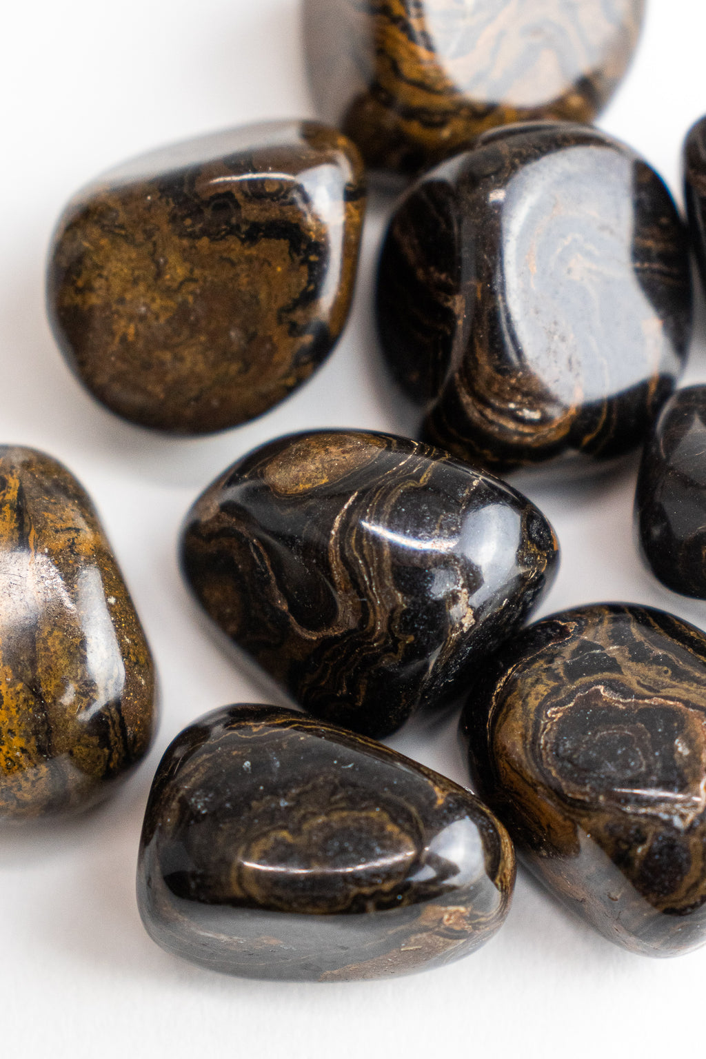 Stromatolite - Stemcell Science Shop