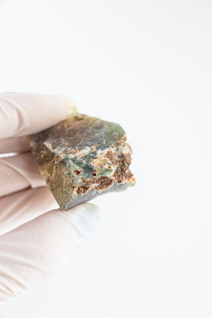 Heliotrope - Stemcell Science Shop
