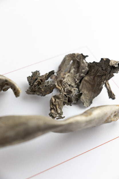 SR-71 Blackbird Wreckage (Item # A-1011)