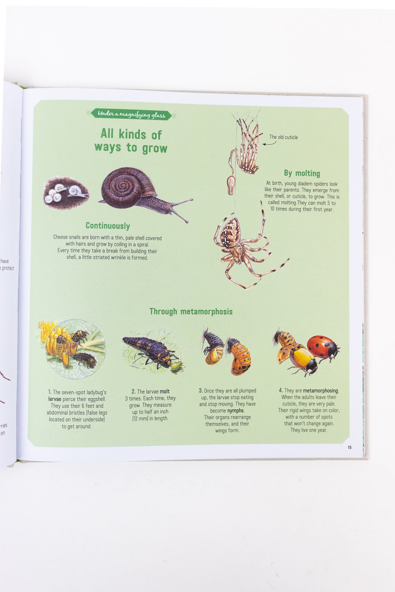 The Book of Tiny Creatures - Stemcell Science Shop