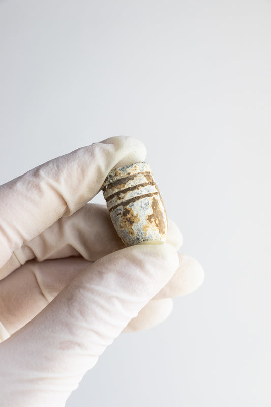 Civil War Bullet - Stemcell Science Shop