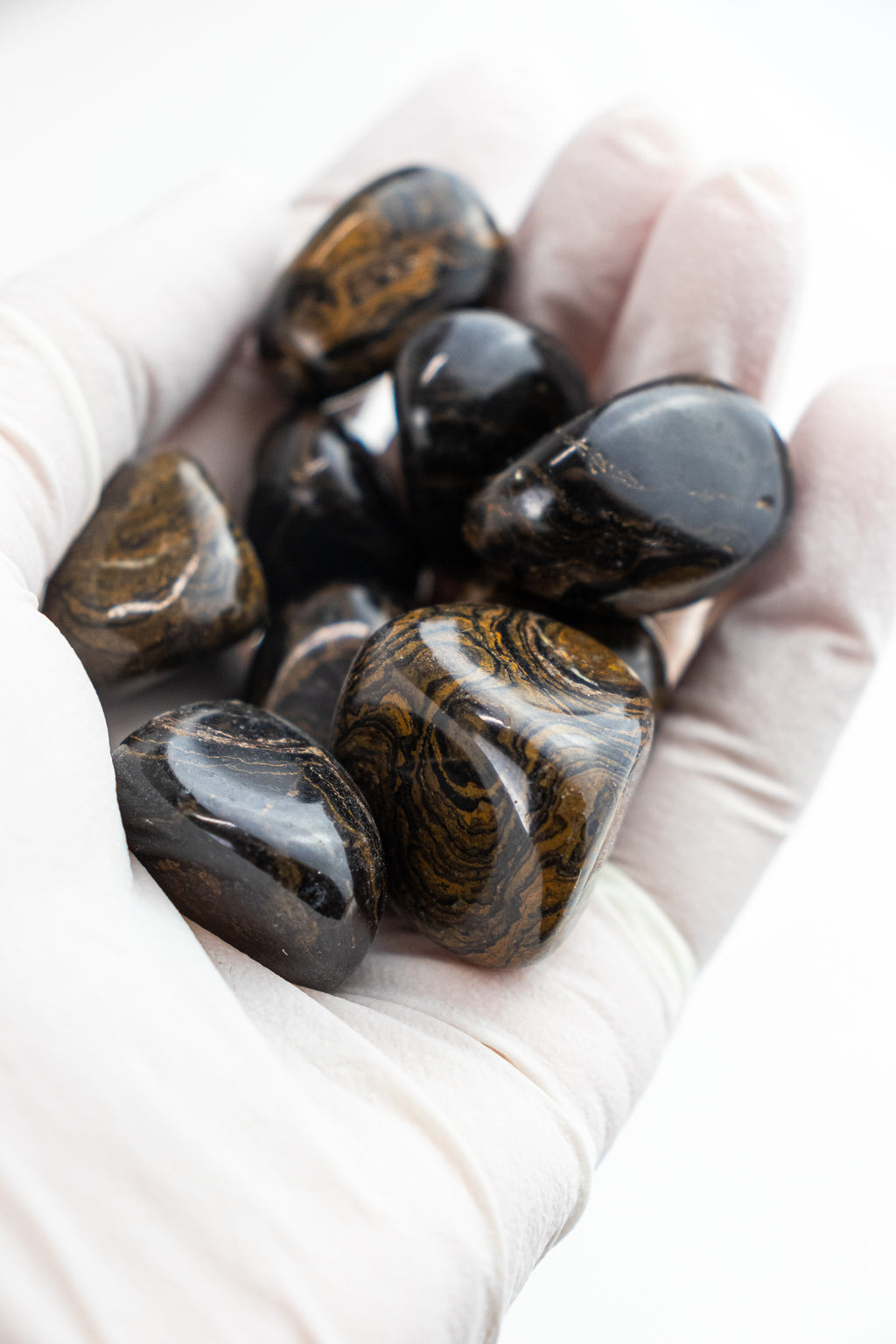 Stromatolite - Stemcell Science Shop