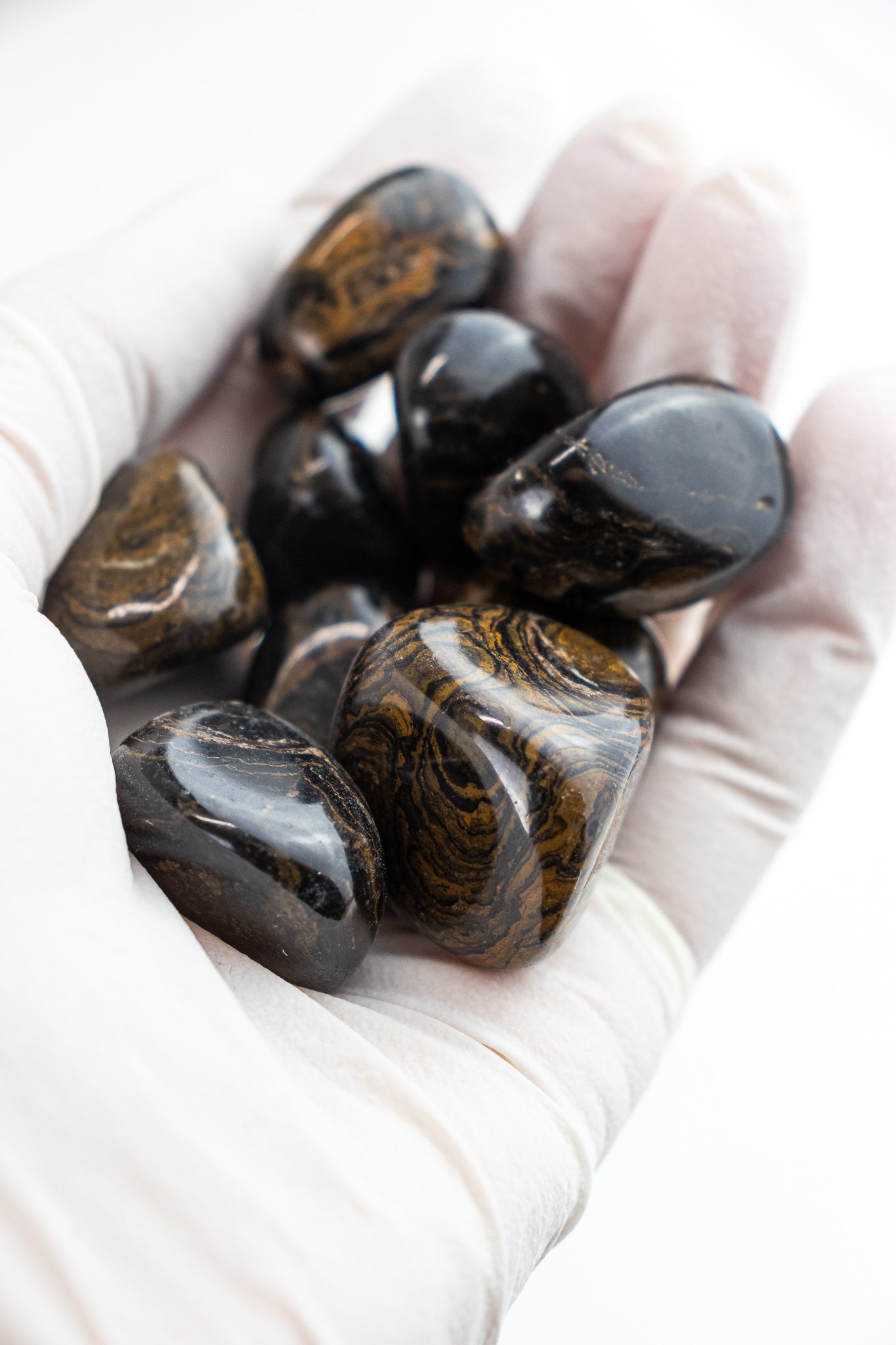 Stromatolite - Stemcell Science Shop