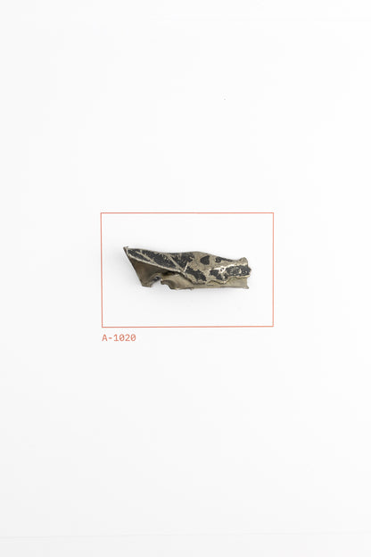SR-71 Blackbird Wreckage (Item # A-1020)