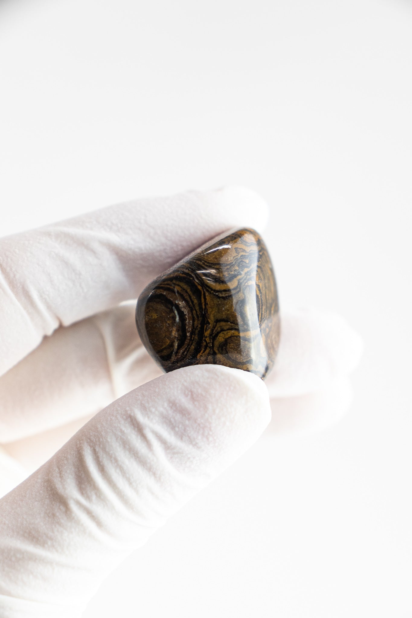 Stromatolite - Stemcell Science Shop