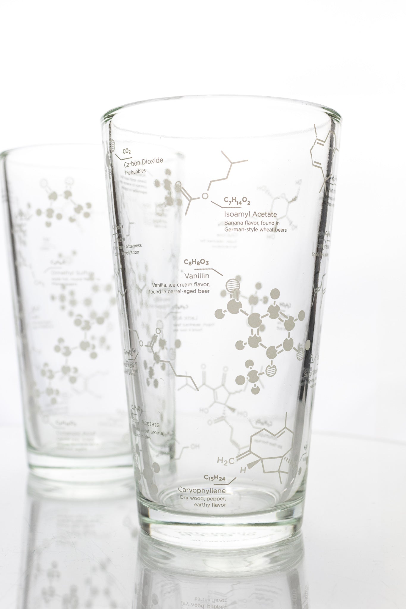 Science of Beer Pint Glass Set - Stemcell Science Shop