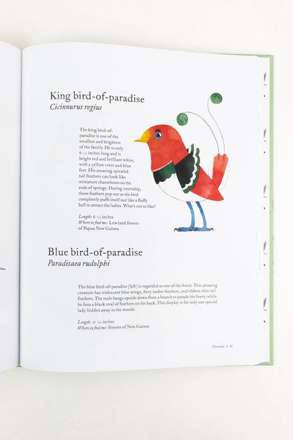 The Atlas of Amazing Birds