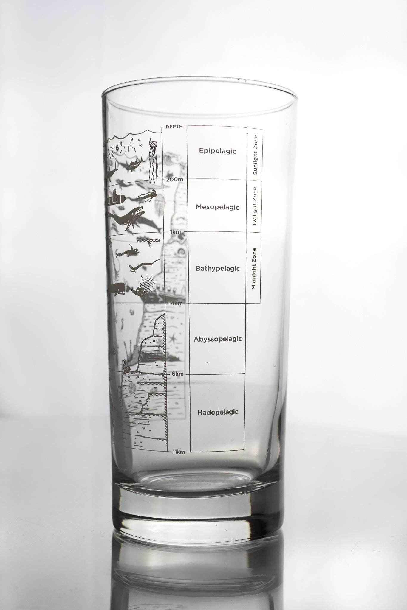 Beneath the Waves Beer Glass - Stemcell Science Shop