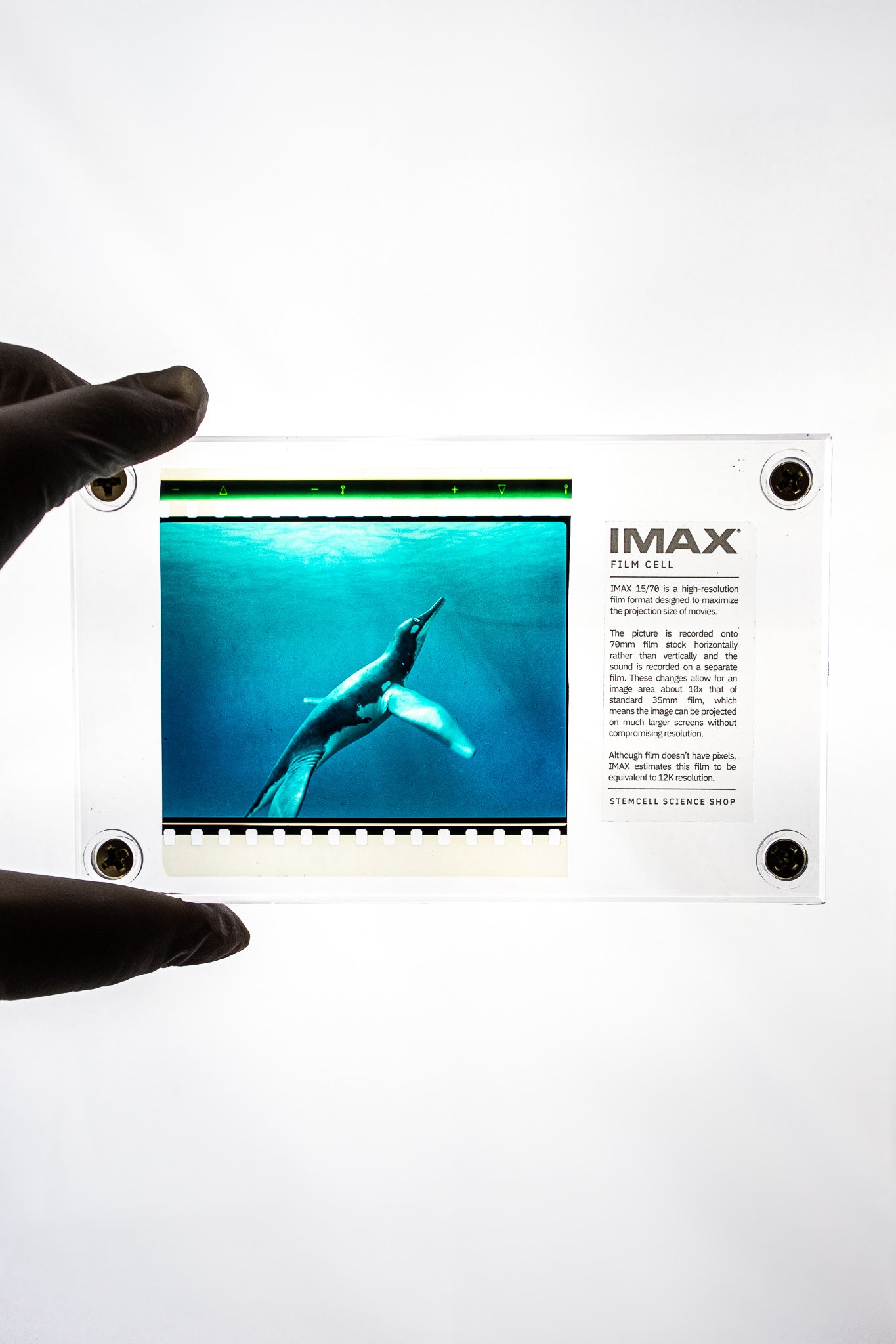 IMAX Film Cell