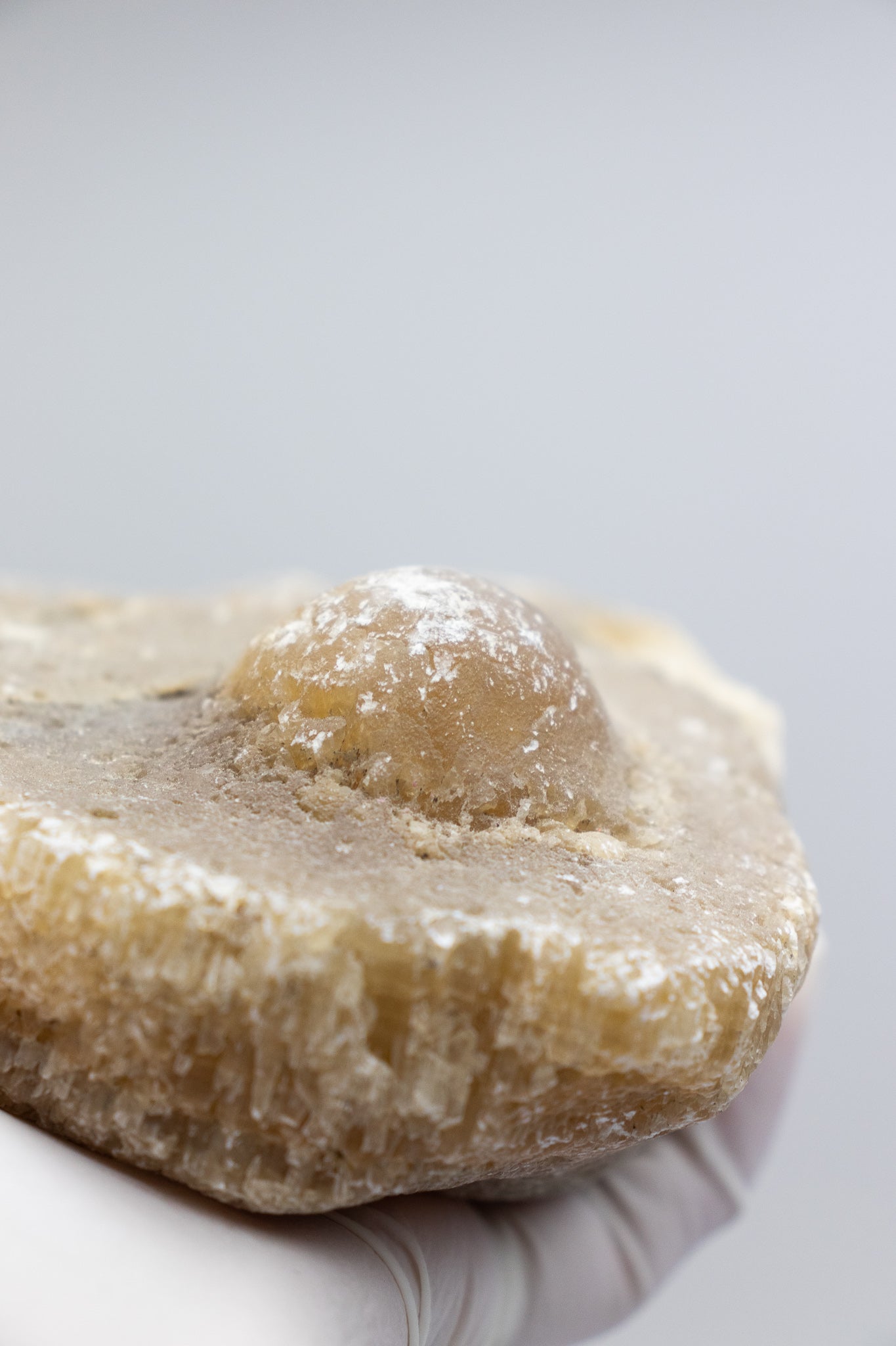 Botryoidal Calcite Mineral Specimen - Stemcell Science Shop