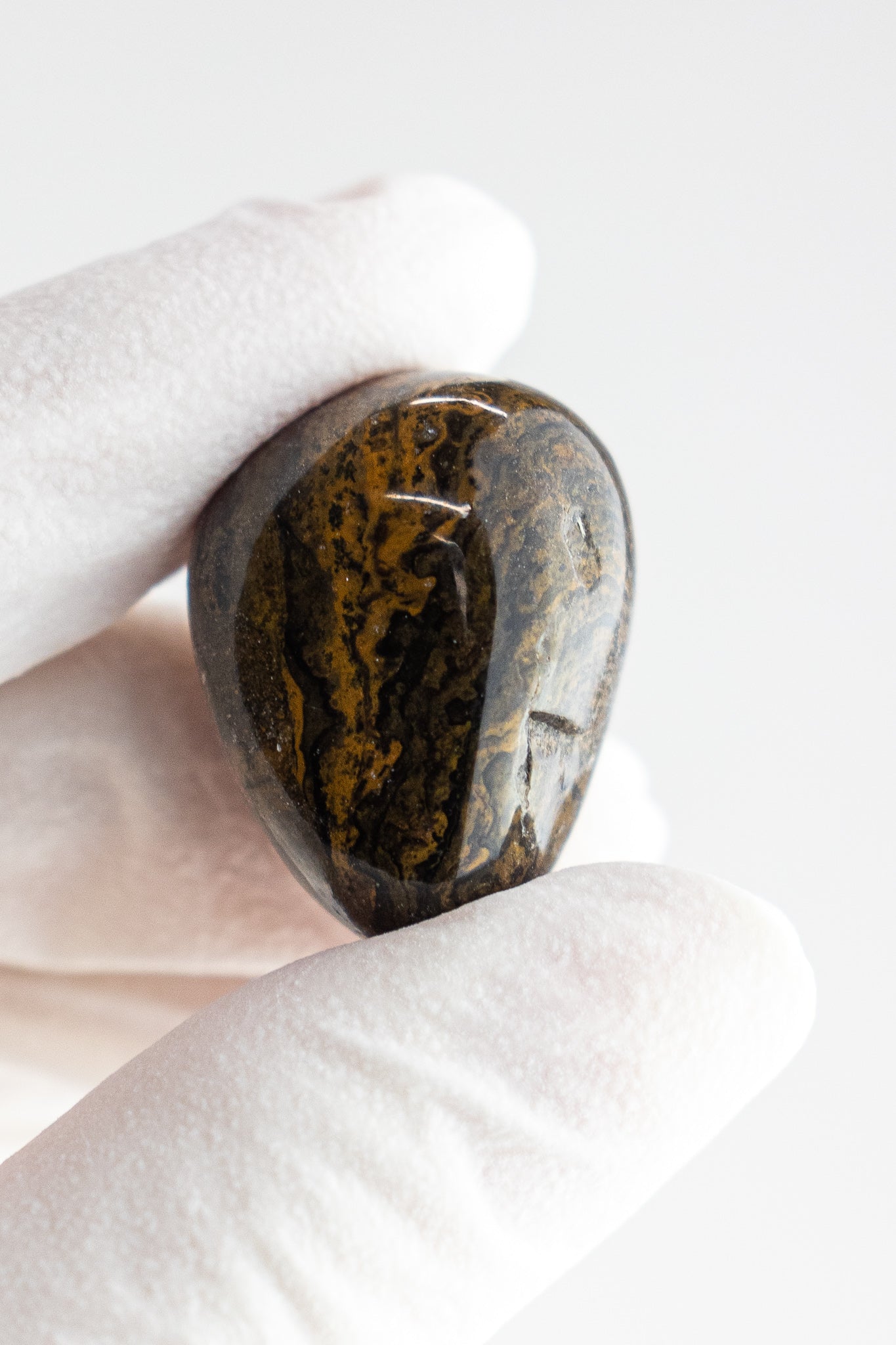 Stromatolite - Stemcell Science Shop