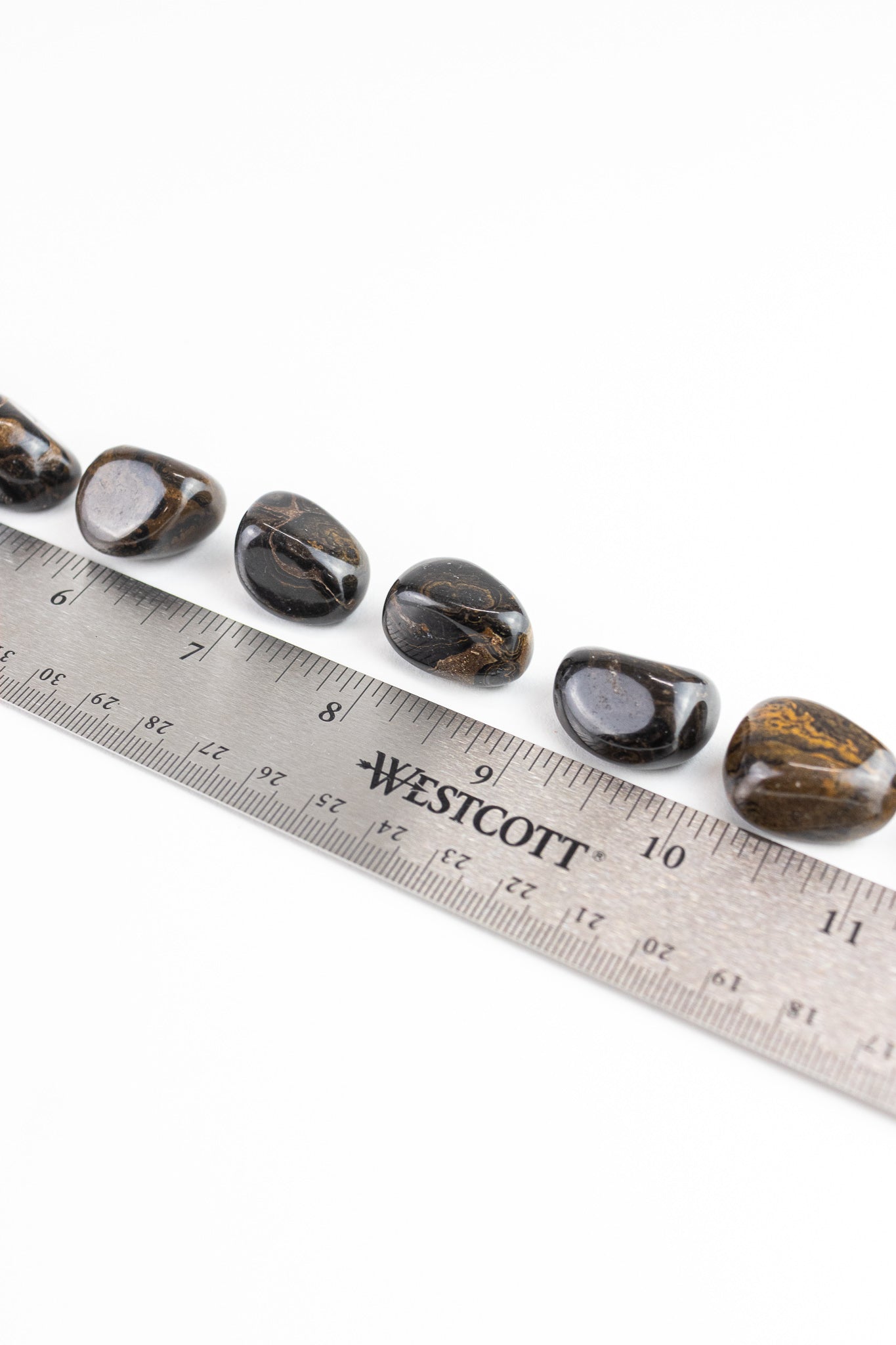 Stromatolite - Stemcell Science Shop