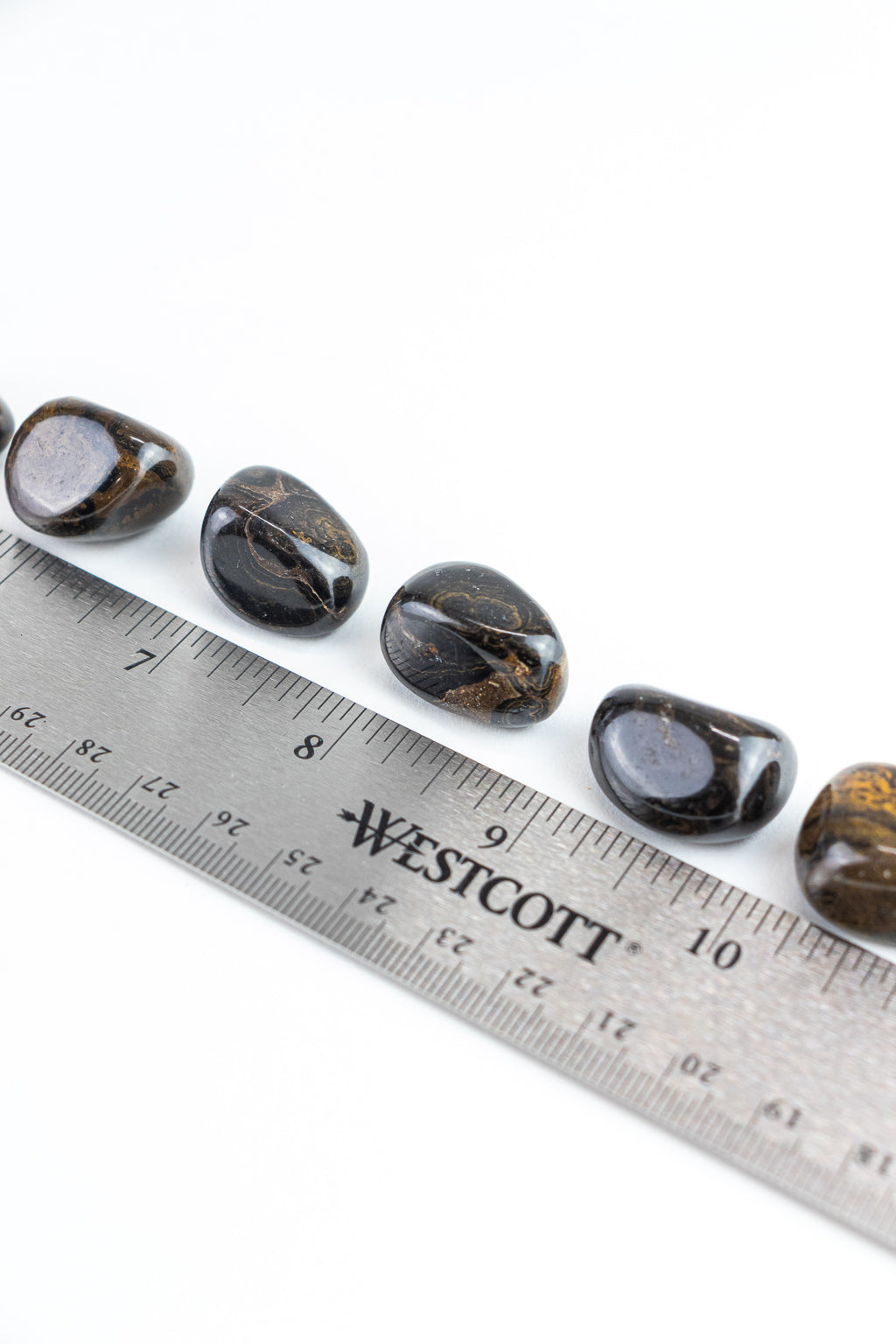 Stromatolite - Stemcell Science Shop