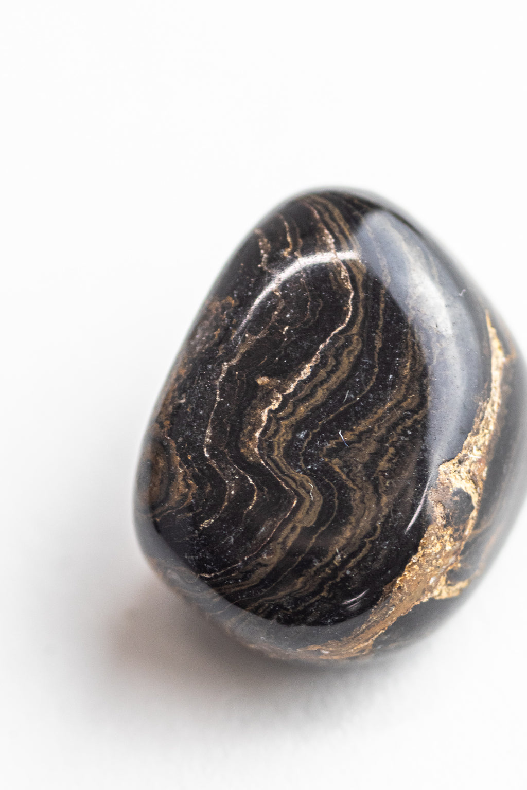 Stromatolite - Stemcell Science Shop