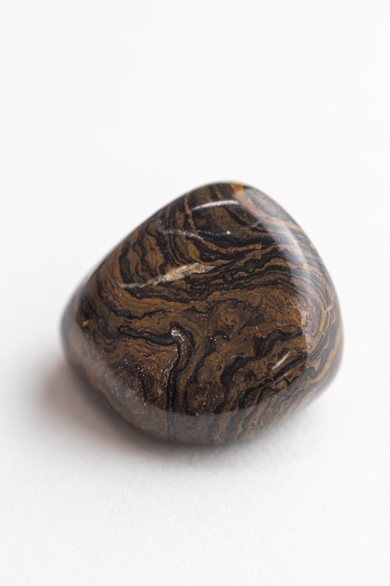 Stromatolite - Stemcell Science Shop