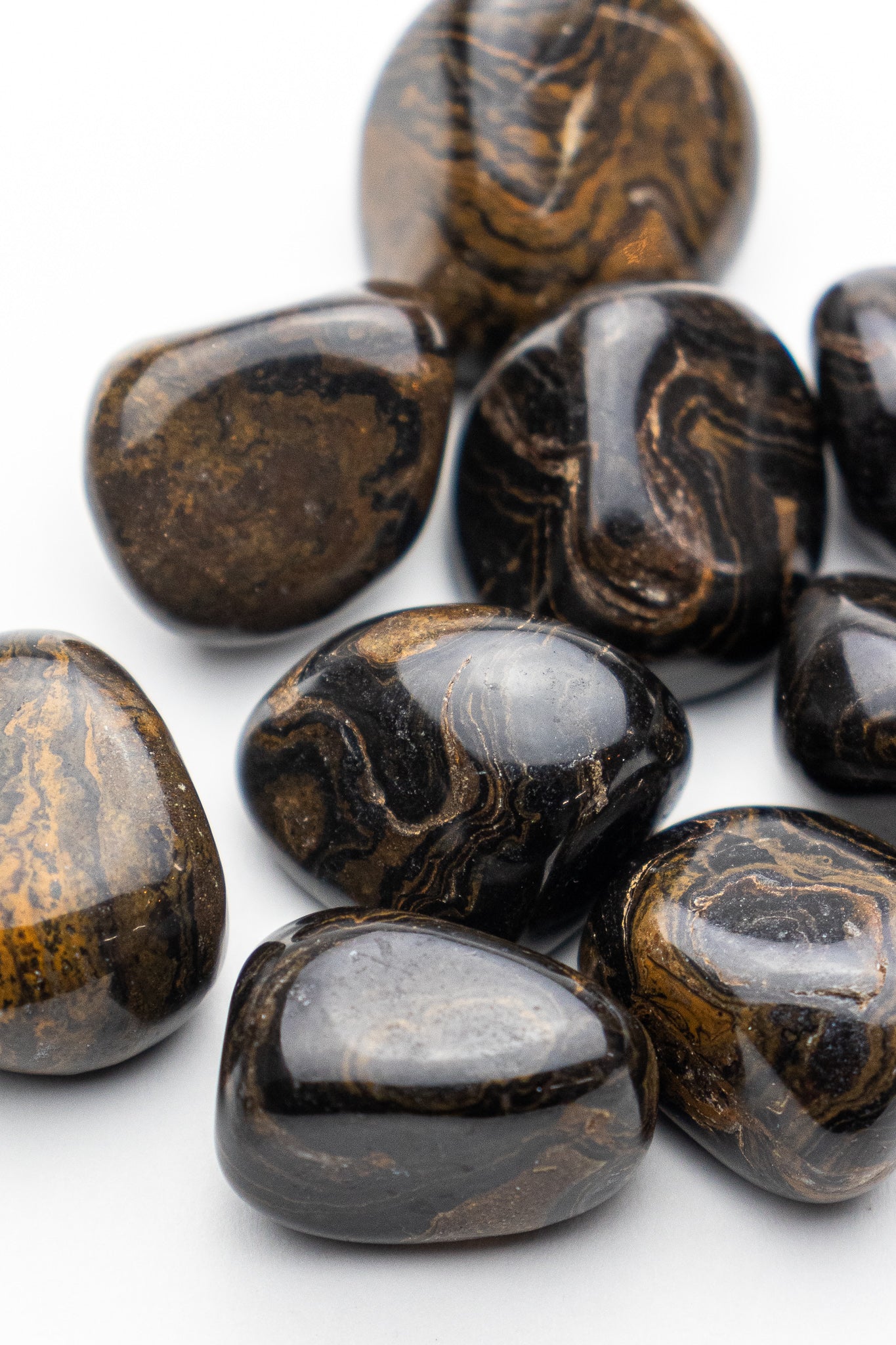 Stromatolite - Stemcell Science Shop
