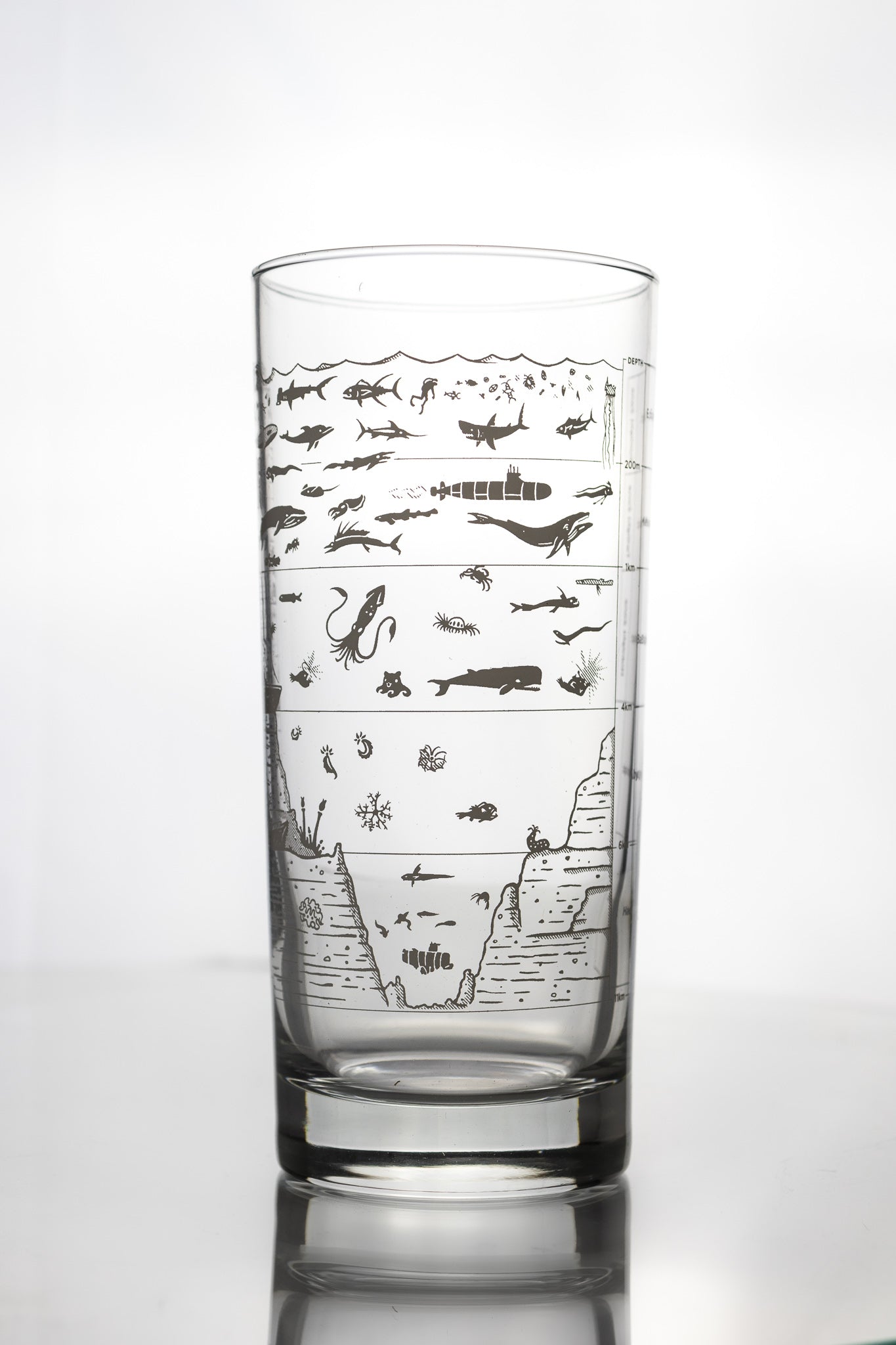 Beneath the Waves Beer Glass - Stemcell Science Shop