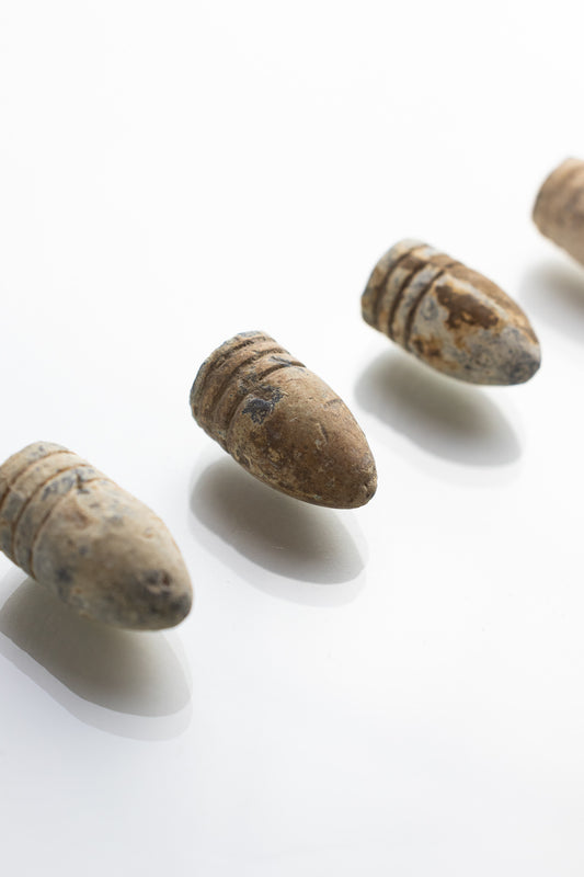 Civil War Bullet - Stemcell Science Shop