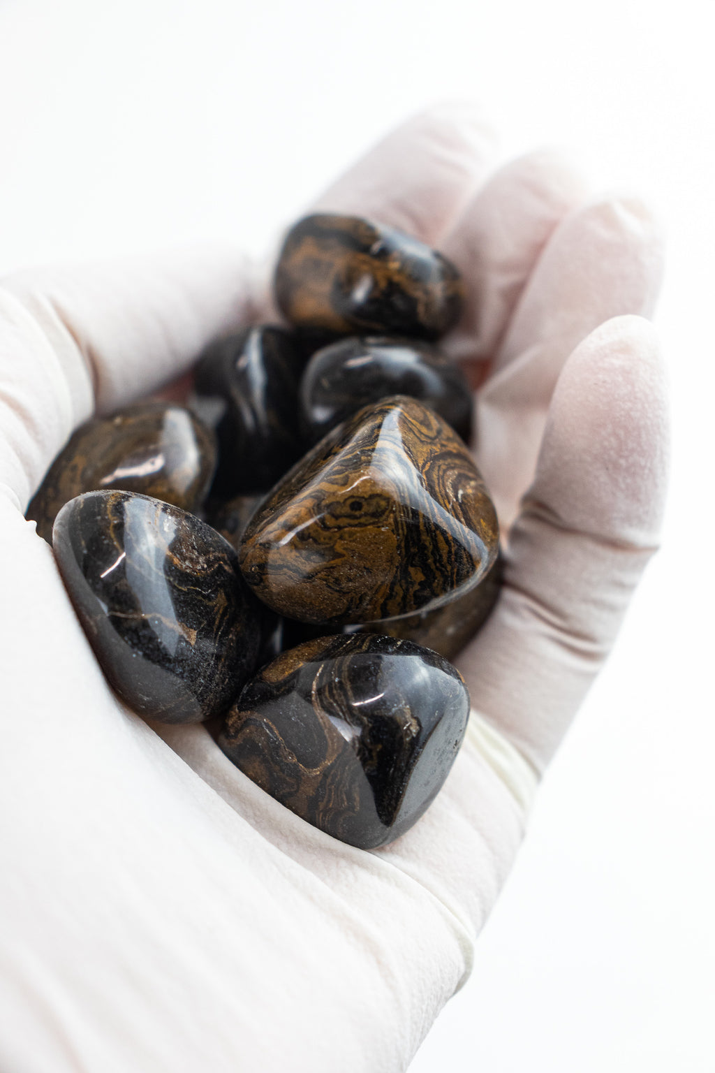 Stromatolite - Stemcell Science Shop