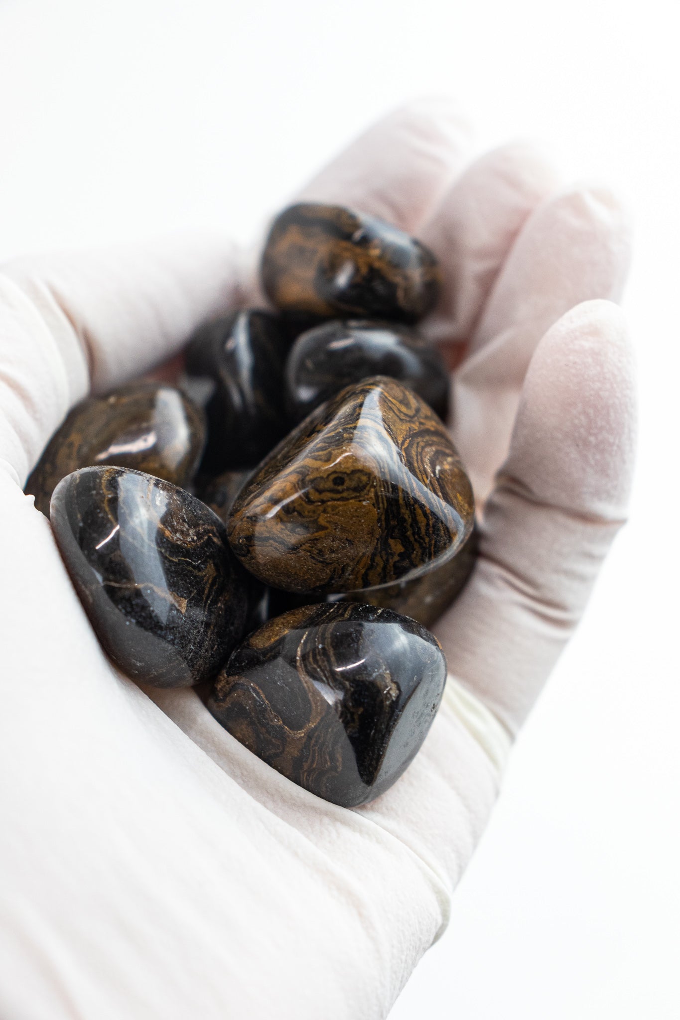 Stromatolite - Stemcell Science Shop