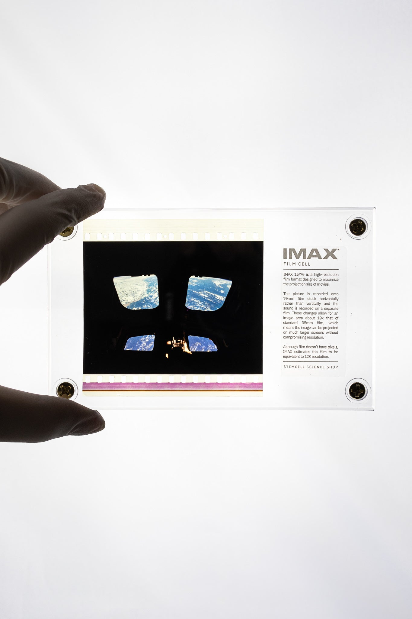 IMAX Film Cell - Stemcell Science Shop