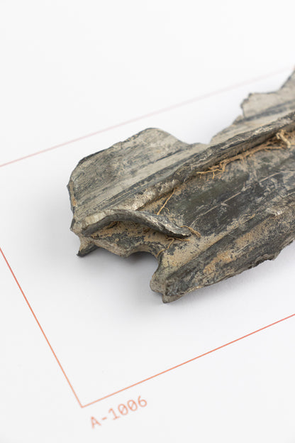 SR-71 Blackbird Wreckage (Item # A-1006)