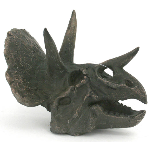 Replica Triceratops Mini Dinosaur Fossil Skull - Stemcell Science Shop