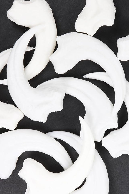 Velociraptor Claw Replica - Stemcell Science Shop