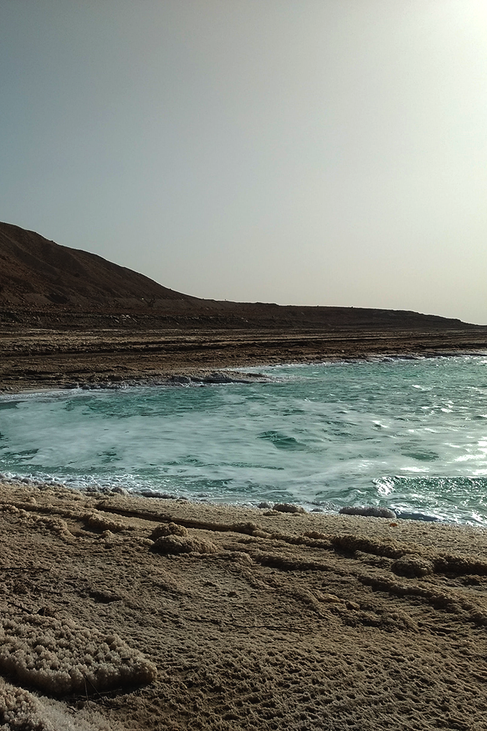 Water from the Dead Sea, Default Title at Stemcell Science Shop