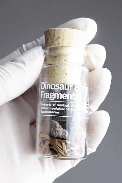 Wholesale Sample Box - from Stemcell Science Shop
