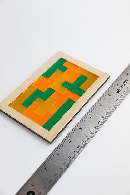 3-Color Pentomino Puzzle - Stemcell Science Shop