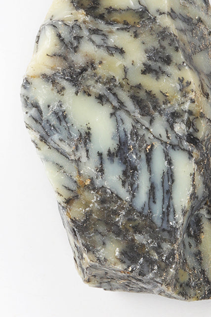 Moss Opal - Stemcell Science Shop