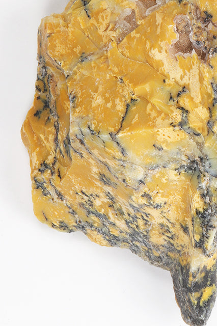 Moss Opal - Stemcell Science Shop